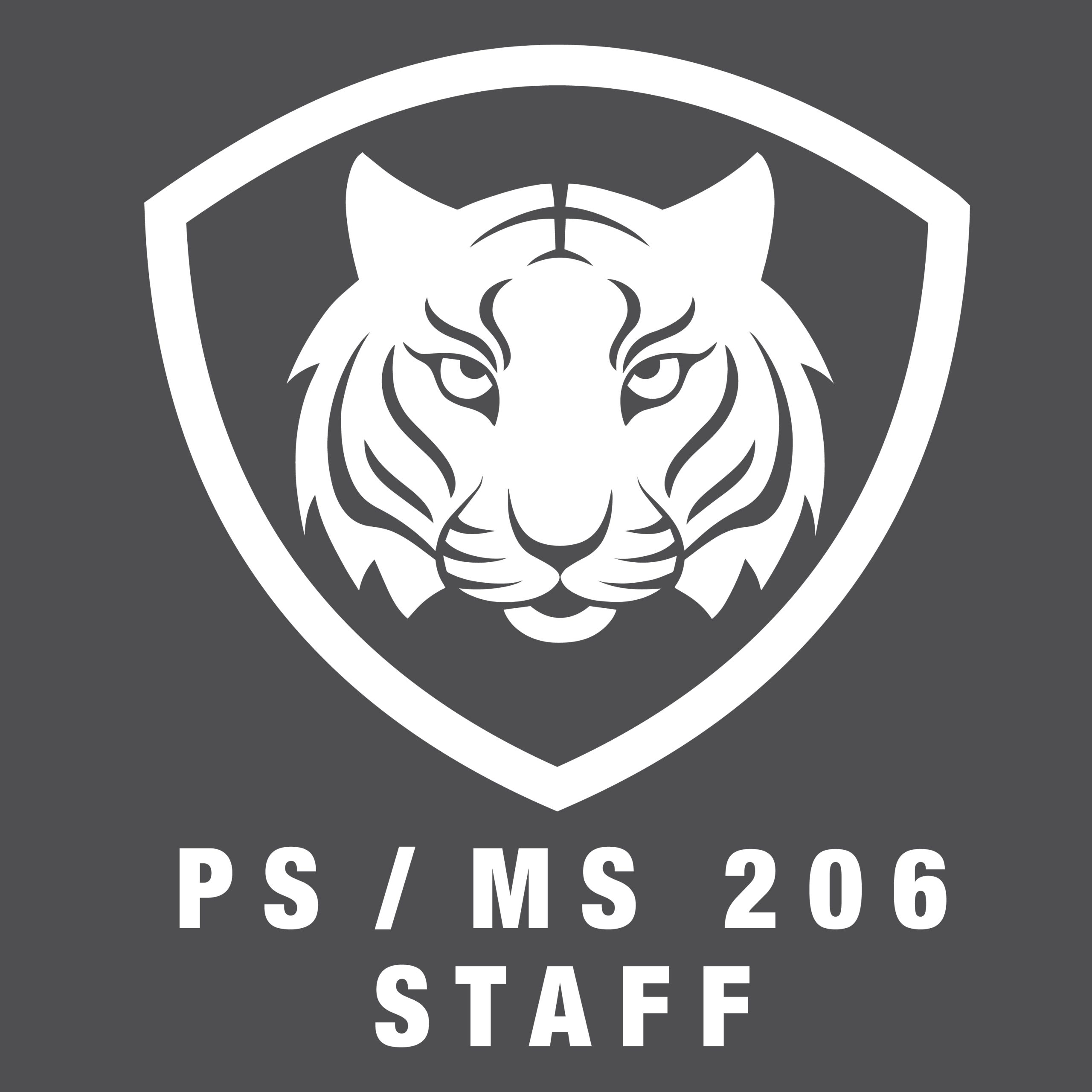 PS/MS 206 Winter 2020