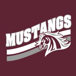 Clifton High School Cheer Fall 2021