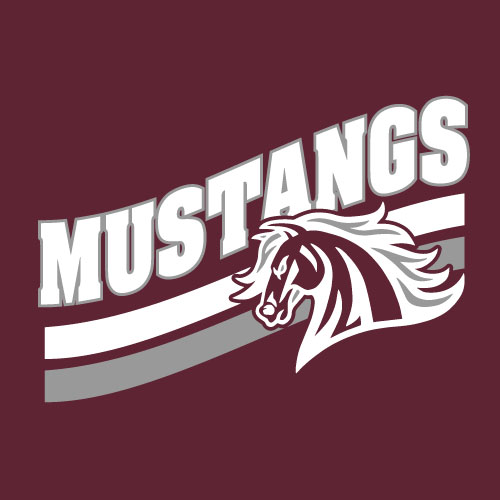 Clifton High School Cheer Fall 2021