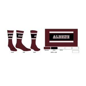 Aldene School Socks